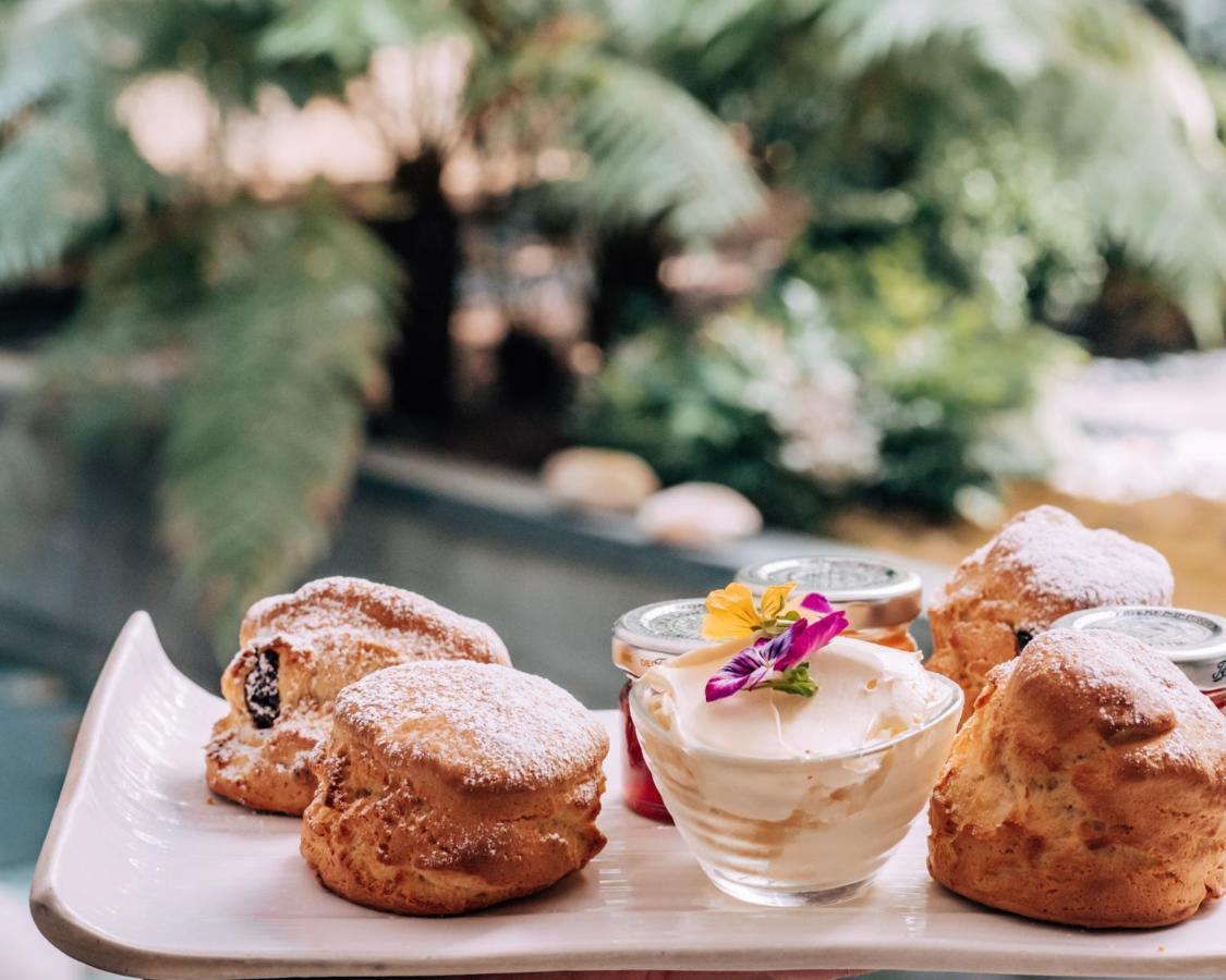 Sanderson London Kültér fotó Scones with jam and clotted cream